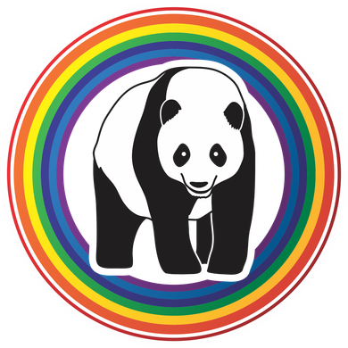 Panda Rainbow Hat