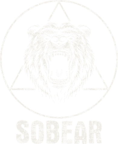 Sobear Sobriety Anniversary Sober Aa Na Recovery Hoodie