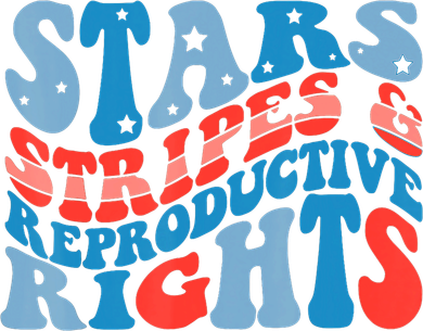 Stars Stripes And Equal Rights 4th Of July Apron