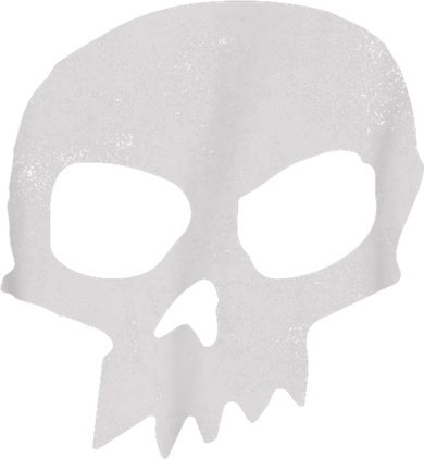 Sid Skull Black Toddler Hoodie