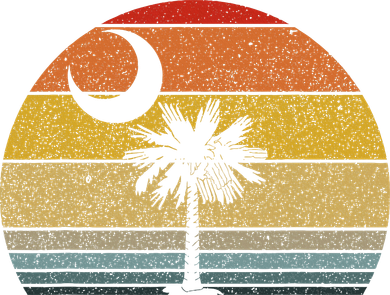 Sunset South Carolina Flag Palmetto Tree Crescent Moon Kids Hoodie