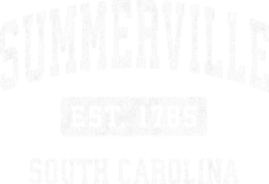Summerville South Carolina Sc Vintage Established 7 Panel Mesh Trucker Snapback Hat