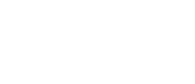 Funny Shenanigans Definition Women's Sweatshirt