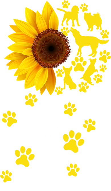 Cute You Are My Sunshine Sunflower Dogs Hat