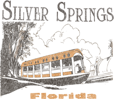 Silver Springs Florida Ornament