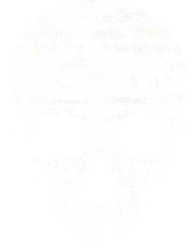 Distressed Skull Graphic Toddler T-Shirt