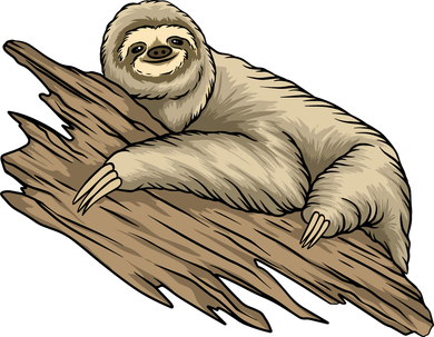 Sloth Hoodie