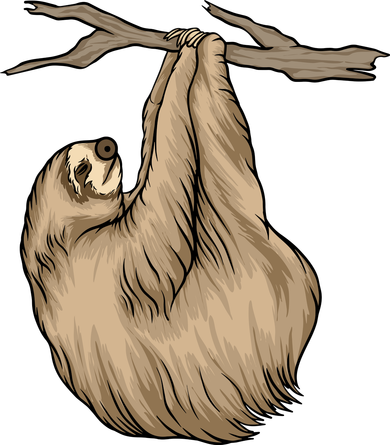 Sloth Hoodie