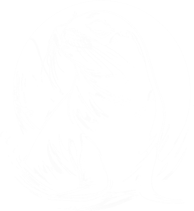 Seal Sea Lion Zookeeper Animal Gift Toddler T-Shirt