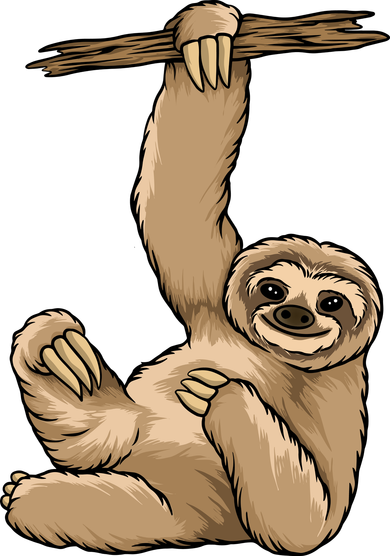 Sloth Toddler Hoodie