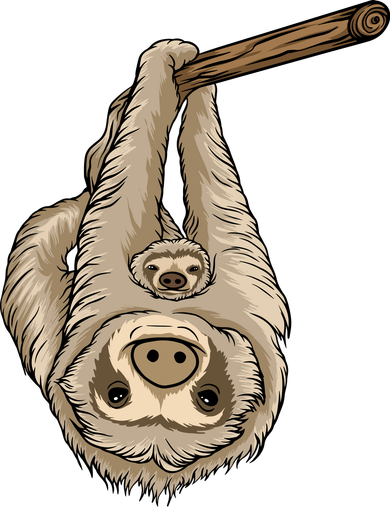 Sloth Hooded Wearable Blanket
