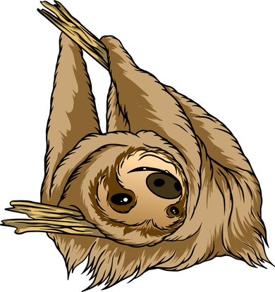 Sloth Toddler Hoodie