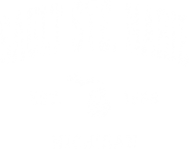 Sault Ste. Marie Michigan Mi Vintage Athletic Sports Doddie Hoodie