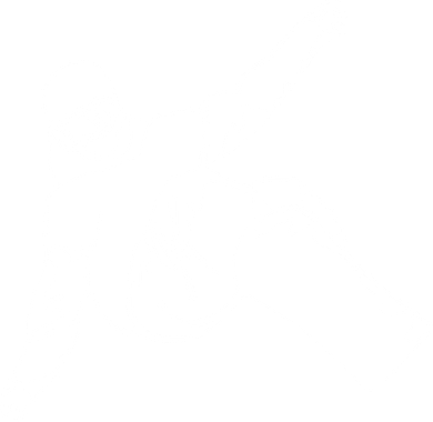 Snowboard Coaster