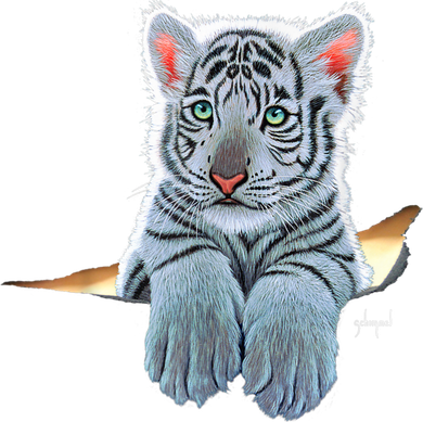 Schim Schimmel Original Artwork, White Tiger Cub Women's T-Shirt