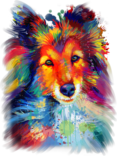 Sheltie Shetland Sheepdog For A Sheltie Mom Women's Tank Top