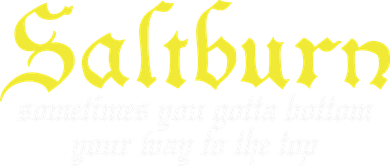 Saltburn Sometimes You Gotta Bottom Your Way To The Top Women's Sweatshirt