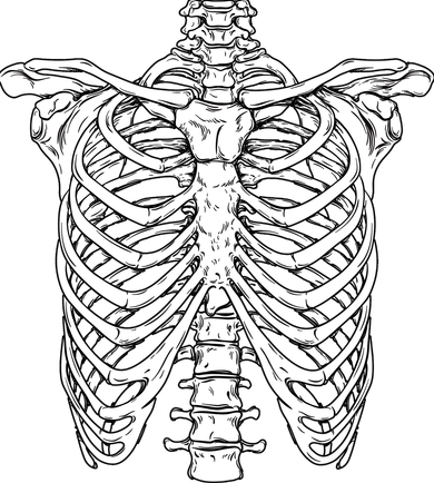 Skeleton Rib Cage Scary Halloween Costume Women's Long Sleeve Shirt