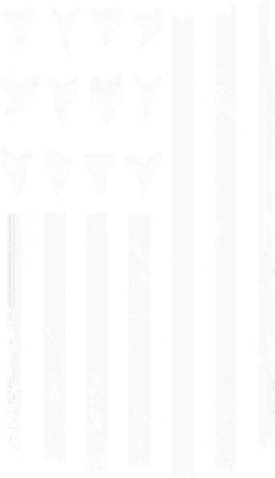 Shark Tooth Hunting American Flag Design For Fossil Hunter Doddie Hoodie