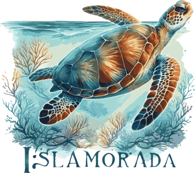 Sea Turtle Islamorada Florida Keys Women's Long Sleeve Shirt