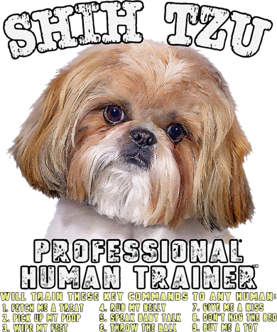 Shih Tzu Professional Human Trainer Cute Dog Coaster