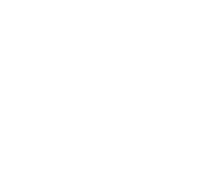 Stay Trashy Raccoon Bucket Hat