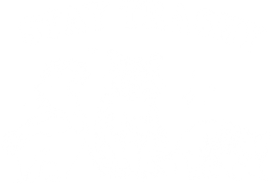 Stay Trashy Raccoon Opossum Skunk Toddler T-Shirt