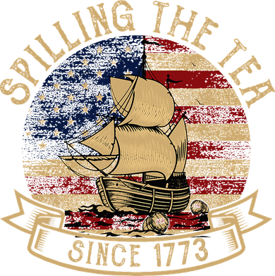 Spilling The Tea Since 1773 American History Teacher Vintage Kids Hoodie