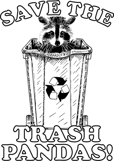 Save the Trash Pandas Funny Raccoon Kids Long Sleeve Shirt