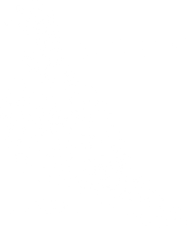 Stay Coo Pigeon Women's Sweatshirt