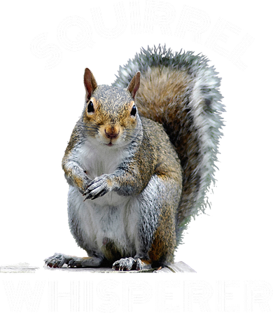 Squirrel Whisperer Cool Funny Sarcastic Squirrel Lover Ornament