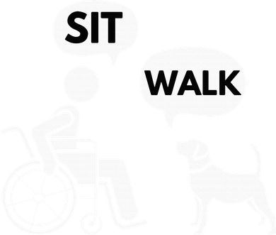 Sit Walk Funny Disabled Wheelchair User & Pet Dog Women's Tank Top