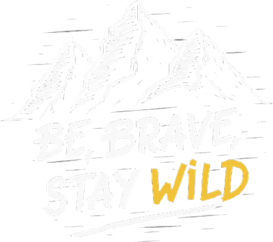 Stay Wild Merch Ben Azelart Hat