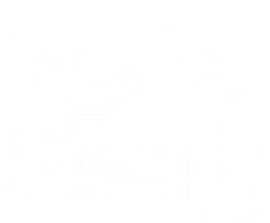 The Stars And Mountains Worship Him Women's Long Sleeve Shirt