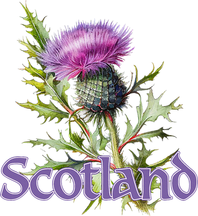 Scotland Watercolor Thistle Golf Towel