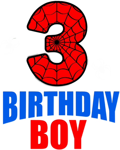 Spider Web Three 3 Years Old 3rd Birthday Boy Party Toddler Hoodie