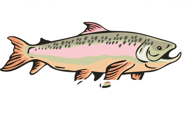 Straight Zooted Fish Tumbler