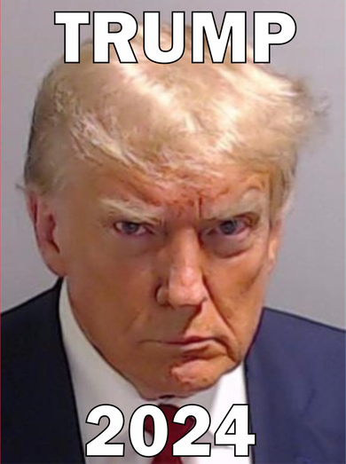 Trump 2024 Mugshot Hooded Wearable Blanket