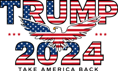 Trump 2024 Take America Back President Kids T-Shirt
