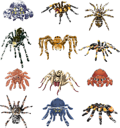 Tarantula Arthropod Spooky Halloween Arachnid Spider Golf Towel