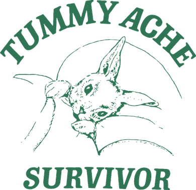 Tummy Ache Survivor Funny Rabbit Meme Bunny Lover Kids T-Shirt