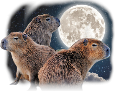 Three Capybaras And Moon Funny Capybara Humor Parody Backpack