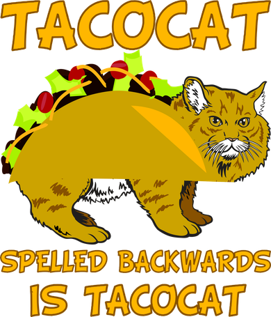 Tacocat Spelled Backwards Funny Cat Hat