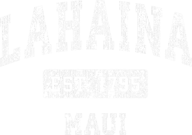 This Classic Established Lahaina Hawaii Shirts Features A Traditional Distressed Women's V-Neck T-Shirt