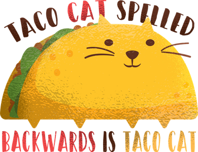 Taco Cat Graphic Kids Hoodie