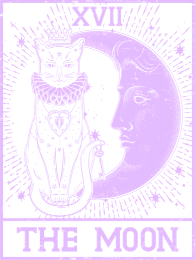 Vintage Tarot Card XVII The Moon Black Cat Sweatshirt