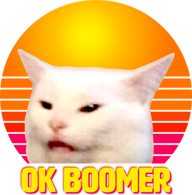 Funny Retro Table Cat OK Boomer Meme Kids Long Sleeve Shirt