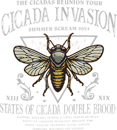 The Cicadas Reunion Cicada Nature Lover Summer 2024 Beanie