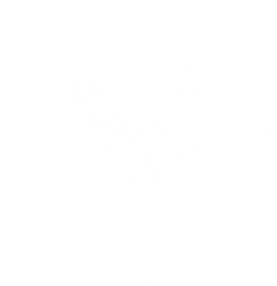 The Chicken Whisperer  Women's Tank Top