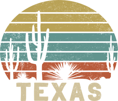 Vintage Texas Sweatshirt